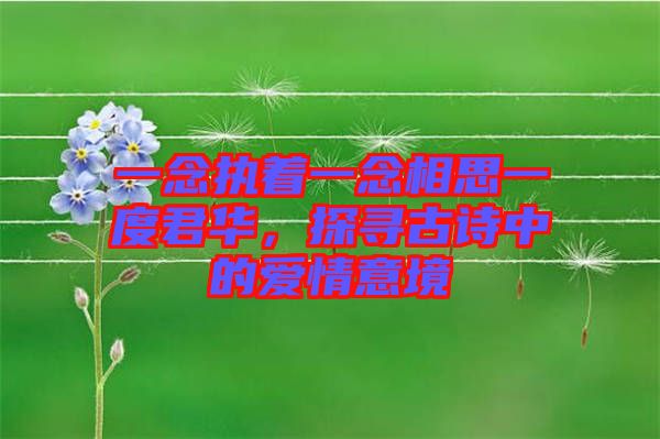 一念執(zhí)著一念相思一度君華，探尋古詩中的愛情意境
