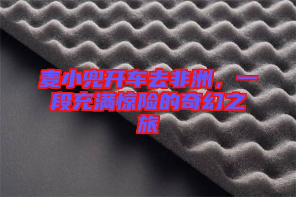 麥小兜開車去非洲，一段充滿驚險的奇幻之旅