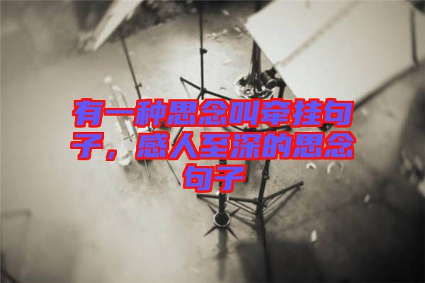 有一種思念叫牽掛句子，感人至深的思念句子