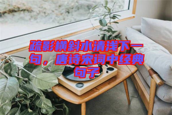 疏影橫斜水清淺下一句，唐詩宋詞中經(jīng)典句子