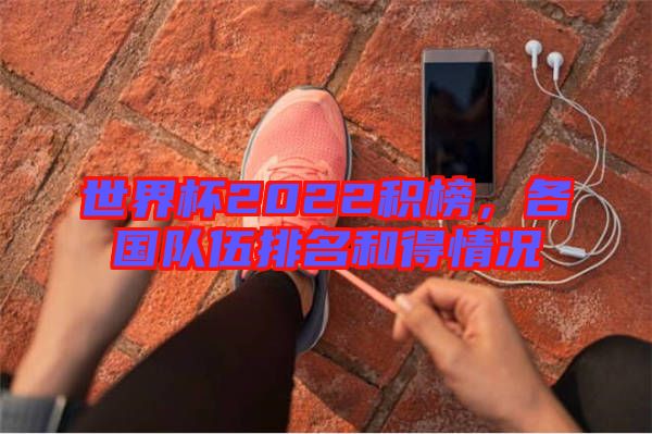 世界杯2022積榜，各國隊(duì)伍排名和得情況