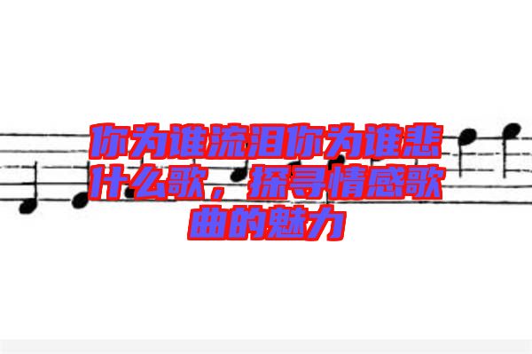 你為誰流淚你為誰悲什么歌，探尋情感歌曲的魅力