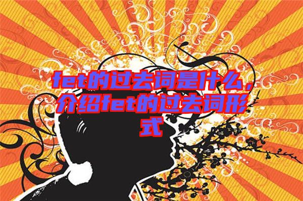 fet的過去詞是什么，介紹fet的過去詞形式