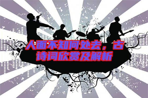 人面不知何處去，古詩詞欣賞及解析