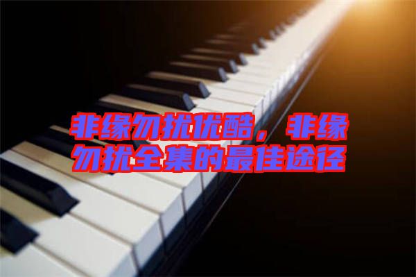 非緣勿擾優(yōu)酷，非緣勿擾全集的最佳途徑