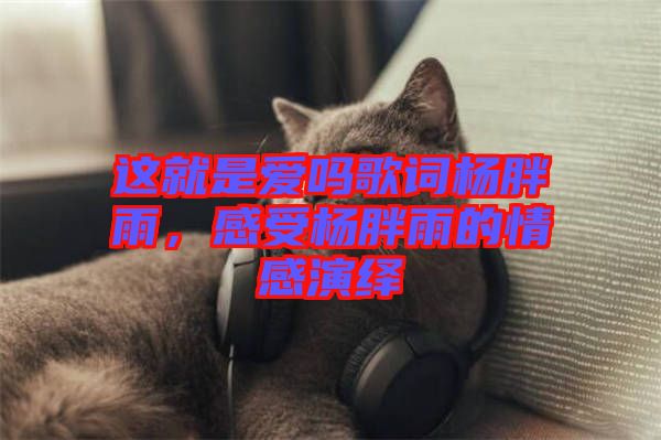 這就是愛嗎歌詞楊胖雨，感受楊胖雨的情感演繹