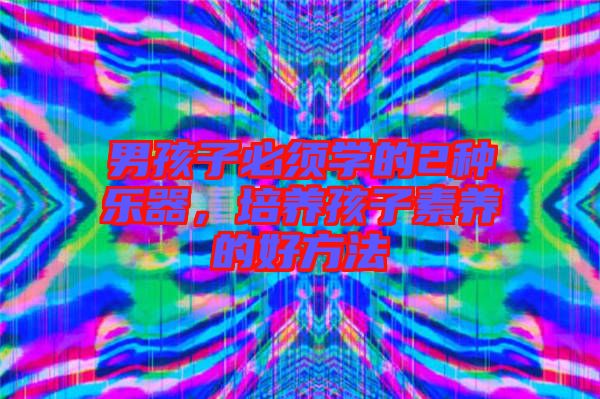 男孩子必須學(xué)的2種樂(lè)器，培養(yǎng)孩子素養(yǎng)的好方法