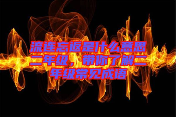 流連忘返是什么意思二年級，帶你了解二年級常見成語