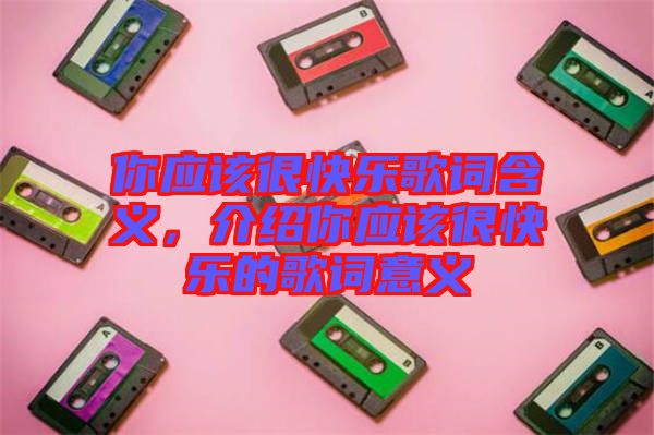 你應(yīng)該很快樂歌詞含義，介紹你應(yīng)該很快樂的歌詞意義