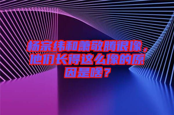 楊宗緯和蕭敬騰很像，他們長得這么像的原因是啥？