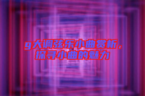 g大調(diào)弦樂小曲賞析，探尋小曲的魅力