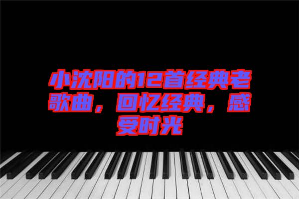 小沈陽的12首經(jīng)典老歌曲，回憶經(jīng)典，感受時光