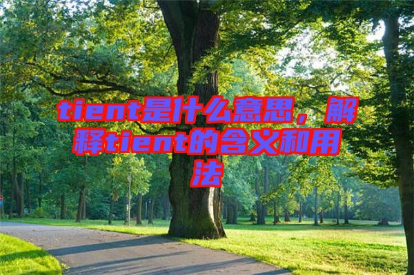 tient是什么意思，解釋tient的含義和用法