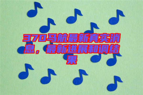 370馬航最新真實消息，最新進展和調結果