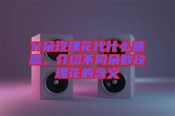 11朵玫瑰花代什么意思，介紹不同朵數(shù)玫瑰花的含義