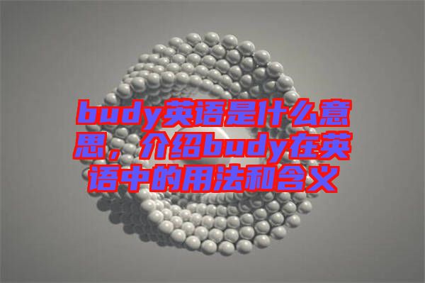 budy英語(yǔ)是什么意思，介紹budy在英語(yǔ)中的用法和含義
