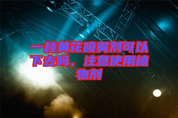 一枝黃花噴霧劑可以下去嗎，注意使用植物劑