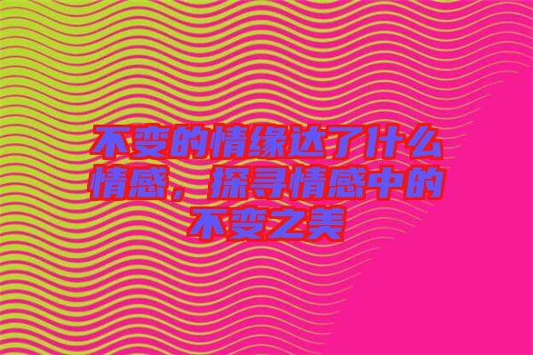 不變的情緣達了什么情感，探尋情感中的不變之美