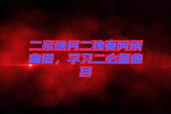 二泉映月二獨(dú)奏阿炳曲譜，學(xué)習(xí)二必備曲目