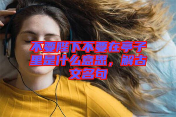 不要陛下不要在亭子里是什么意思，解古文名句