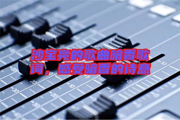 沙寶亮的歌曲暗香歌詞，感受暗香的詩意