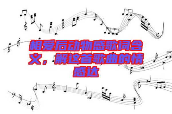 相愛后動(dòng)物感歌詞含義，解這首歌曲的情感達(dá)