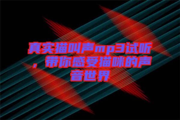 真實(shí)貓叫聲mp3試聽，帶你感受貓咪的聲音世界