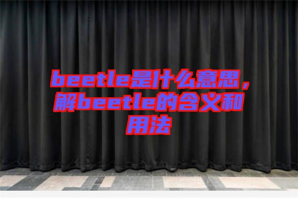 beetle是什么意思，解beetle的含義和用法