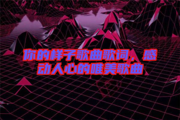 你的樣子歌曲歌詞，感動(dòng)人心的唯美歌曲