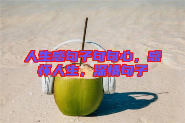 人生感句子句句心，感懷人生，深情句子