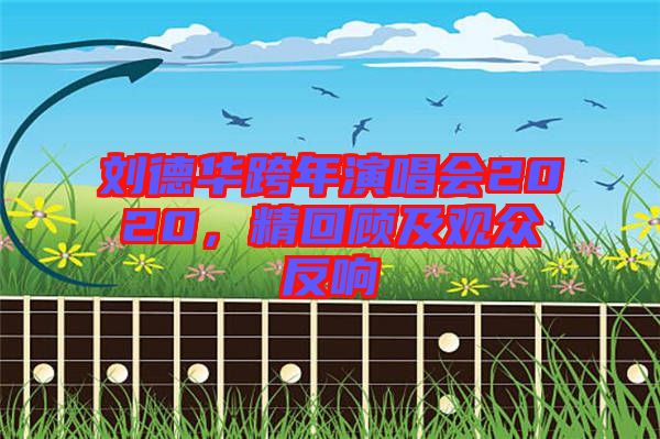 劉德華跨年演唱會(huì)2020，精回顧及觀眾反響