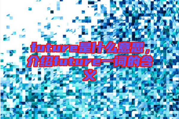 future是什么意思，介紹future一詞的含義