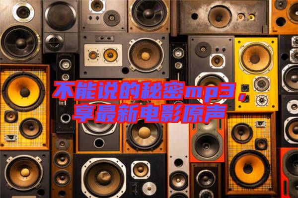 不能說的秘密mp3，享最新電影原聲