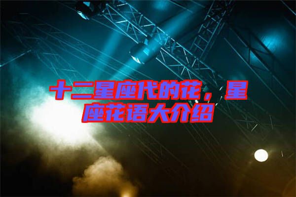 十二星座代的花，星座花語大介紹