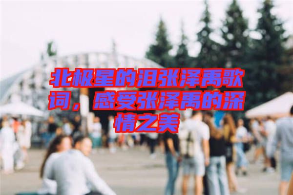 北極星的淚張澤禹歌詞，感受張澤禹的深情之美