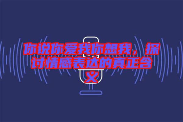 你說你愛我你想我，探討情感表達(dá)的真正含義