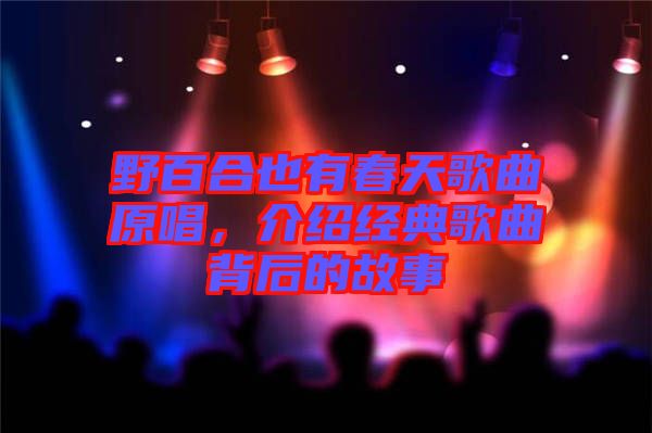 野百合也有春天歌曲原唱，介紹經(jīng)典歌曲背后的故事