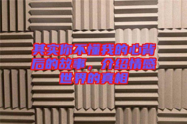 其實(shí)你不懂我的心背后的故事，介紹情感世界的真相