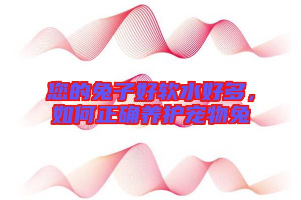 您的兔子好軟水好多，如何正確養(yǎng)護寵物兔