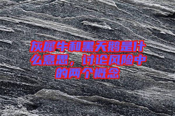 灰犀牛和黑天鵝是什么意思，討論風(fēng)險中的兩個概念