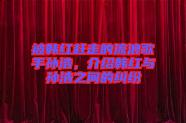 被韓紅趕走的流浪歌手孫浩，介紹韓紅與孫浩之間的糾紛