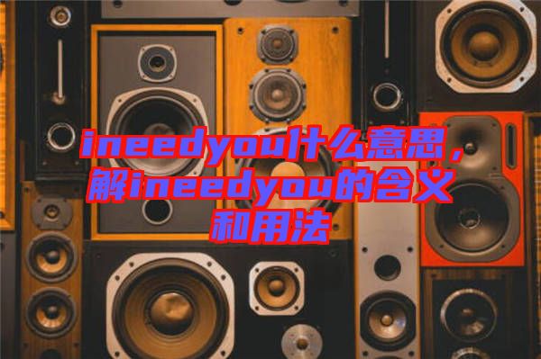 ineedyou什么意思，解ineedyou的含義和用法