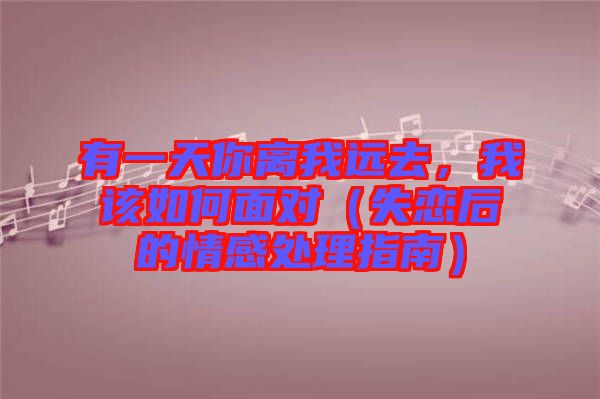 有一天你離我遠(yuǎn)去，我該如何面對(duì)（失戀后的情感處理指南）