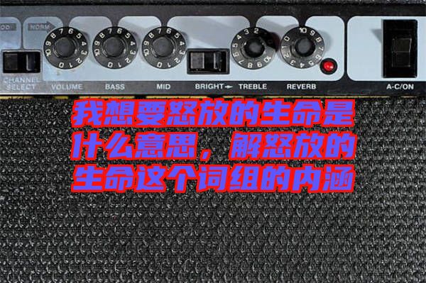我想要怒放的生命是什么意思，解怒放的生命這個詞組的內涵