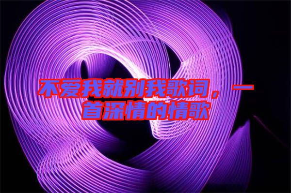 不愛我就別我歌詞，一首深情的情歌