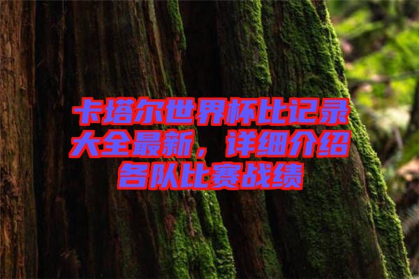 卡塔爾世界杯比記錄大全最新，詳細(xì)介紹各隊(duì)比賽戰(zhàn)績(jī)