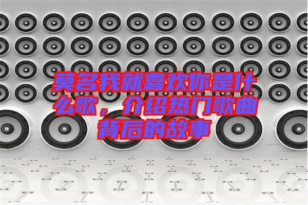 莫名我就喜歡你是什么歌，介紹熱門歌曲背后的故事