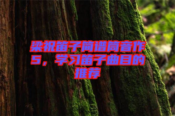梁祝笛子簡譜筒音作5，學(xué)習(xí)笛子曲目的推薦