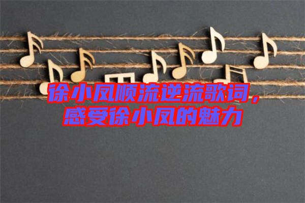 徐小鳳順流逆流歌詞，感受徐小鳳的魅力