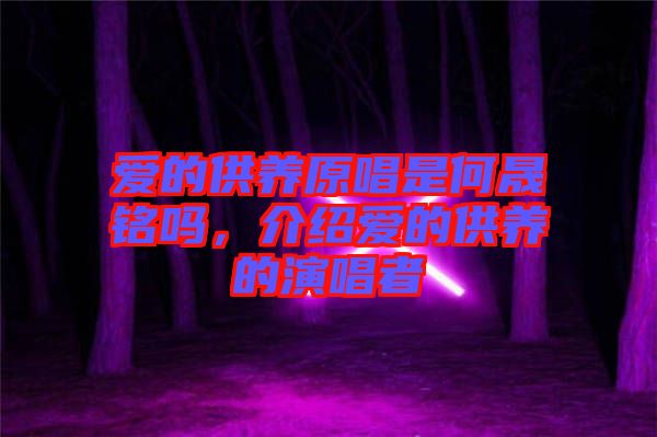 愛的供養(yǎng)原唱是何晟銘嗎，介紹愛的供養(yǎng)的演唱者